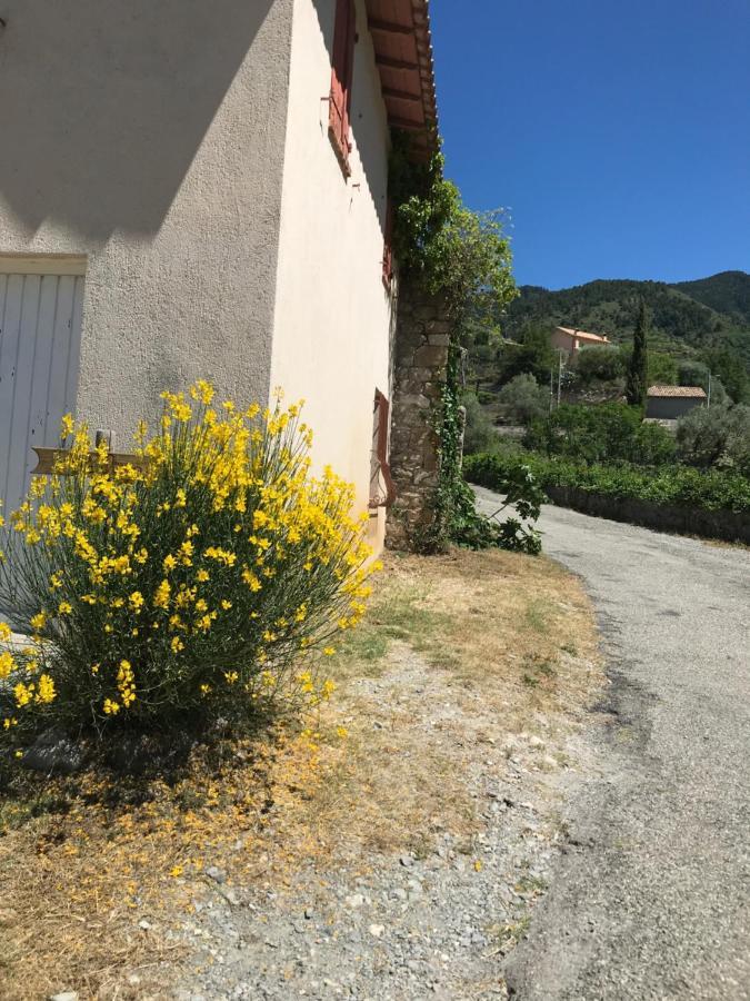 La Ferme Des Cailletiers Chez Marco Villa Lucéram Exterior foto